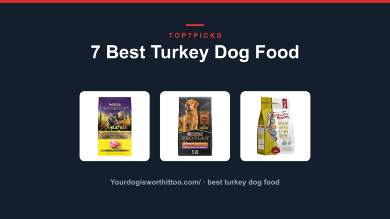 7 Best Turkey Dog Food