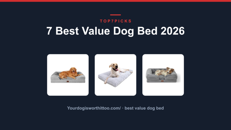 7 Best Value Dog Bed 2026