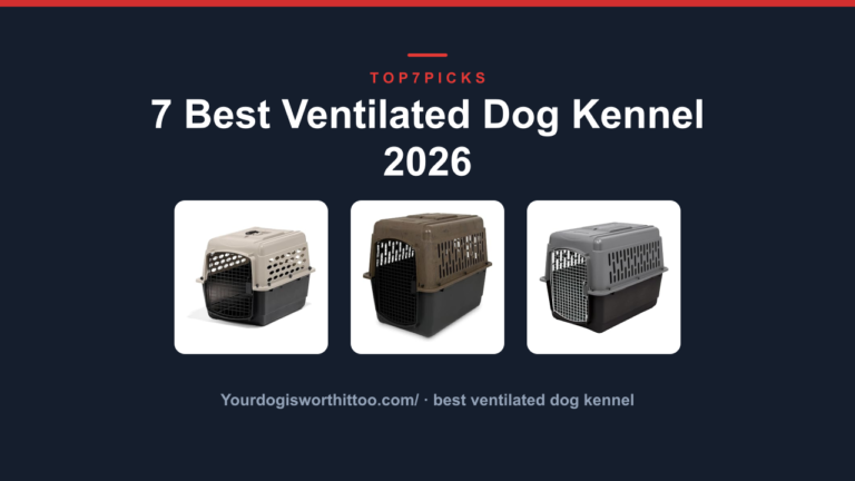 7 Best Ventilated Dog Kennel 2026