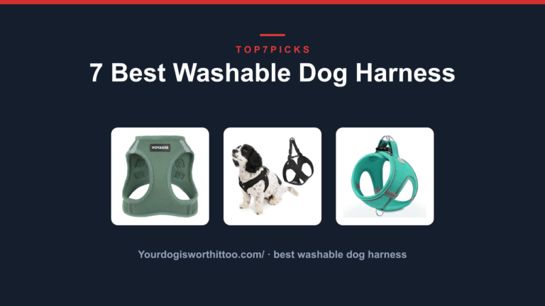 7 Best Washable Dog Harness