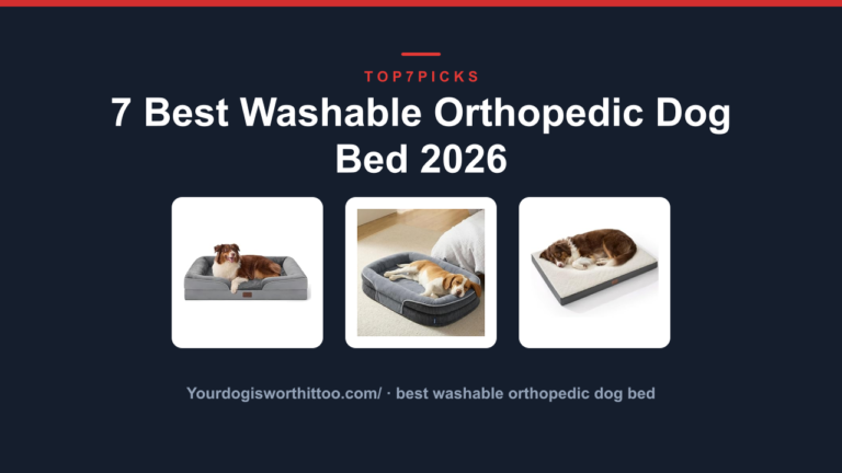 7 Best Washable Orthopedic Dog Bed 2026