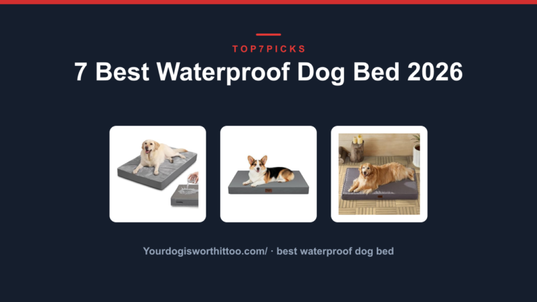 7 Best Waterproof Dog Bed 2026