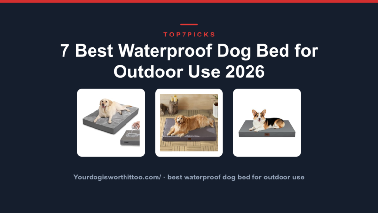 7 Best Waterproof Dog Bed for Outdoor Use 2026