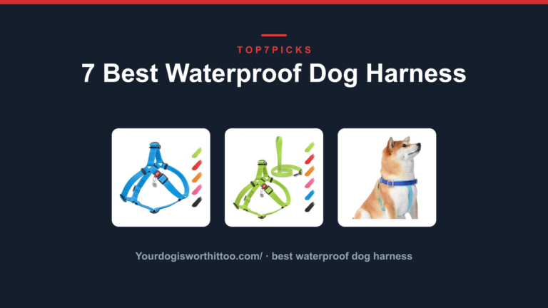 7 Best Waterproof Dog Harness