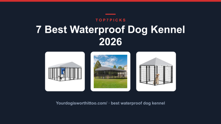 7 Best Waterproof Dog Kennel 2026