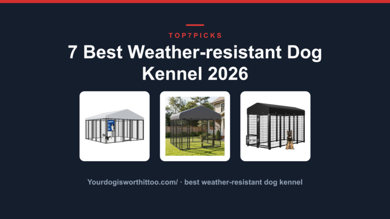 7 Best Weather-resistant Dog Kennel 2026