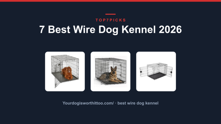 7 Best Wire Dog Kennel 2026
