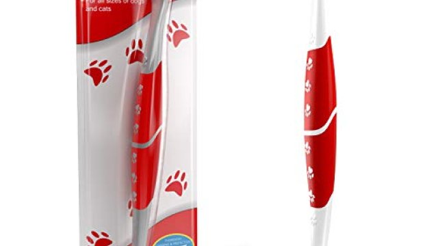 Best Dog Toothbrush: Top Picks For Healthy Teeth