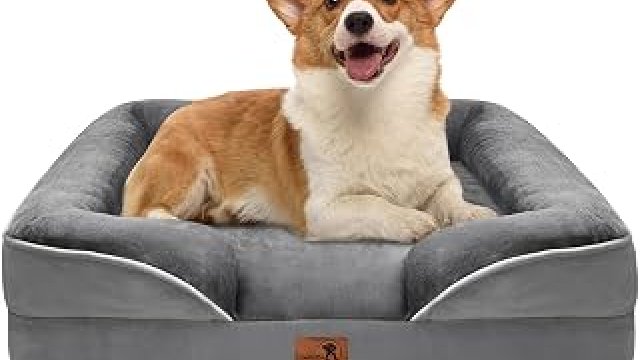 7 Best Budget Dog Bed 2027