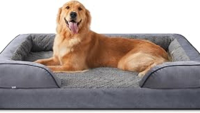 7 Best Dog Bed for Big Dogs 2027