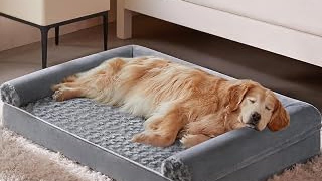 7 Best Dog Bed Under $100 2027