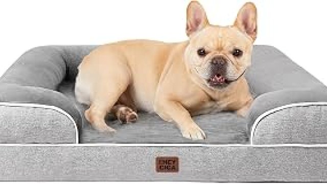 7 Best Dog Bed Under $50 2027