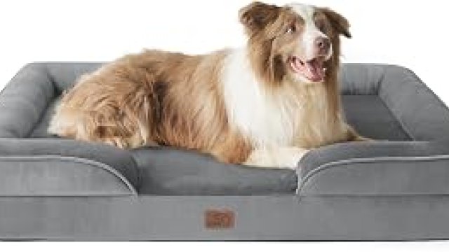 7 Best Premium Dog Bed 2027